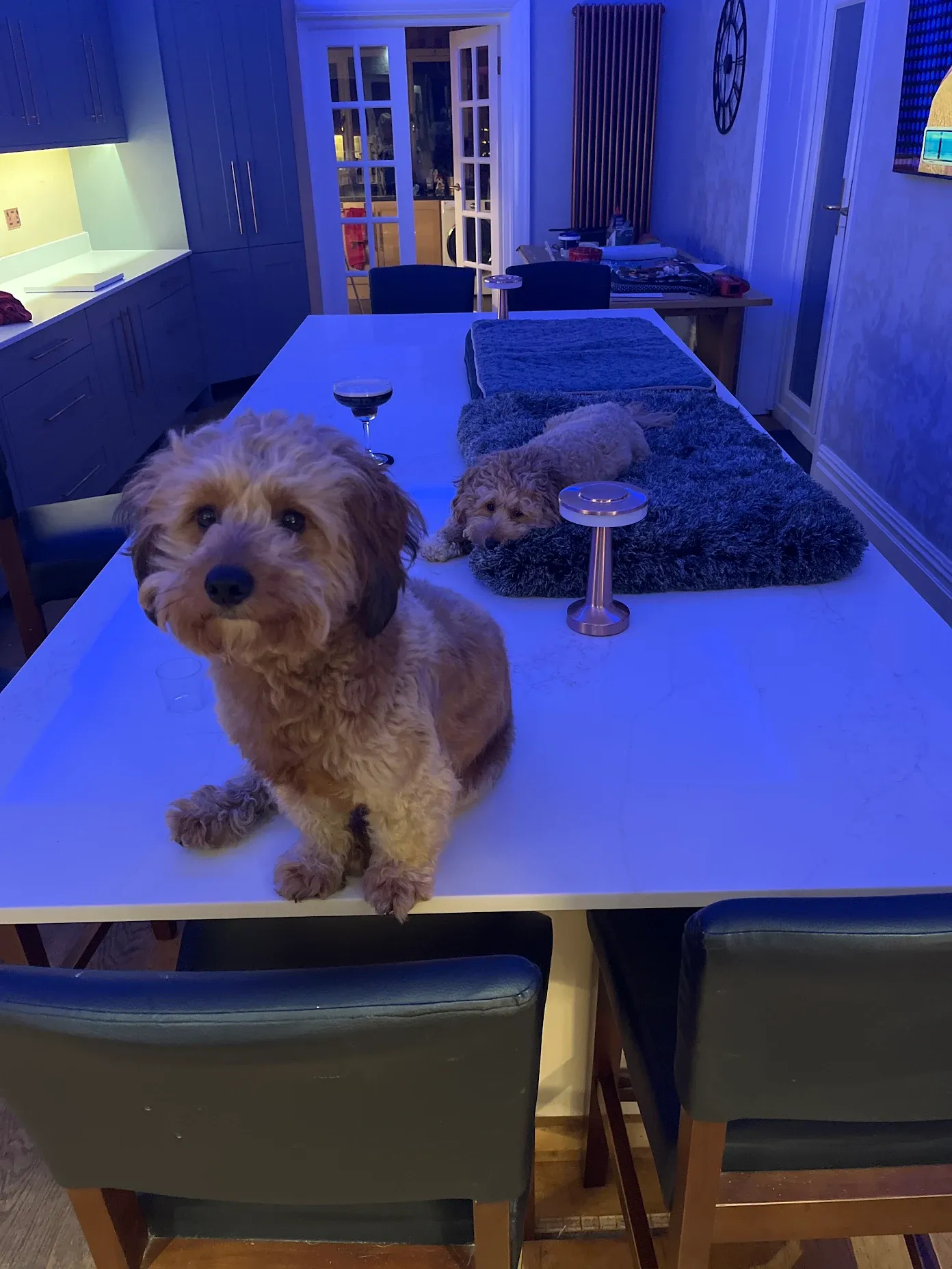 Paul Parsons's worktops by In2stone
