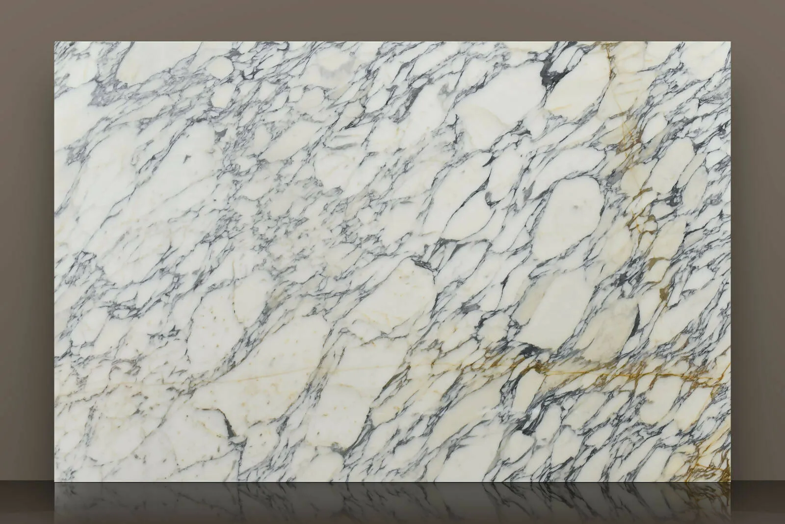 Arabescato Corchia Marble