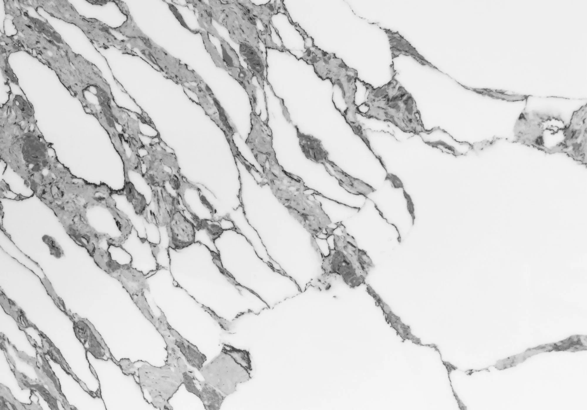 Arenastone Arabescato Aria Quartz