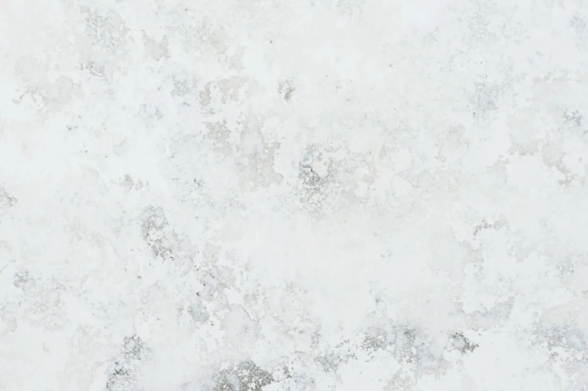 Arenastone Bianco Fiorito Quartz