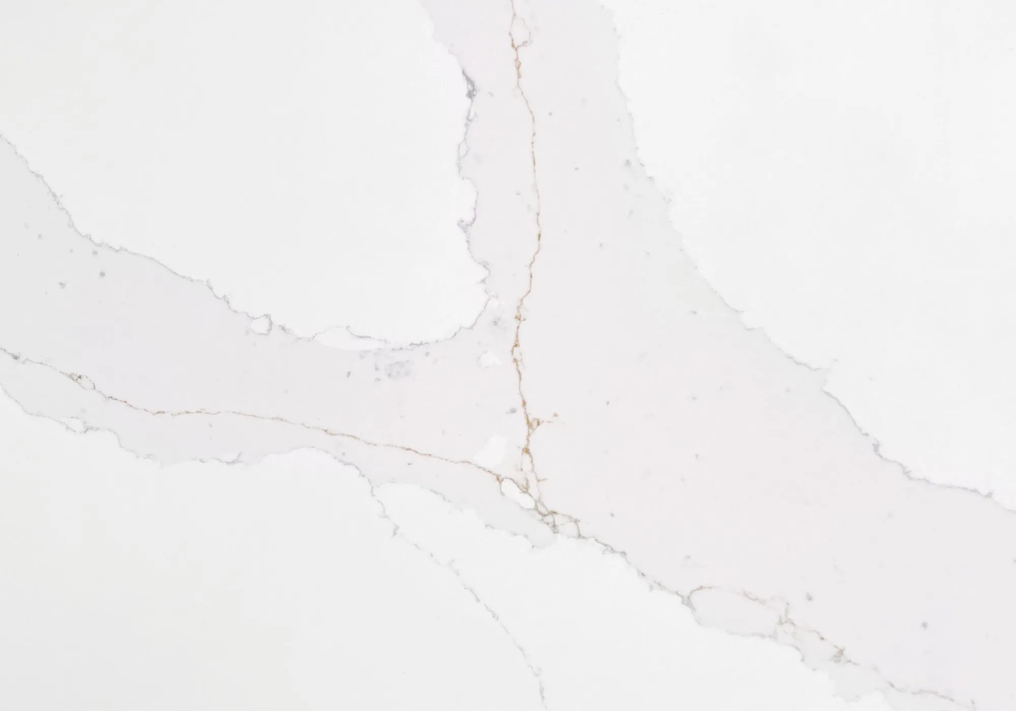 Arenastone Calacatta Dorato Quartz