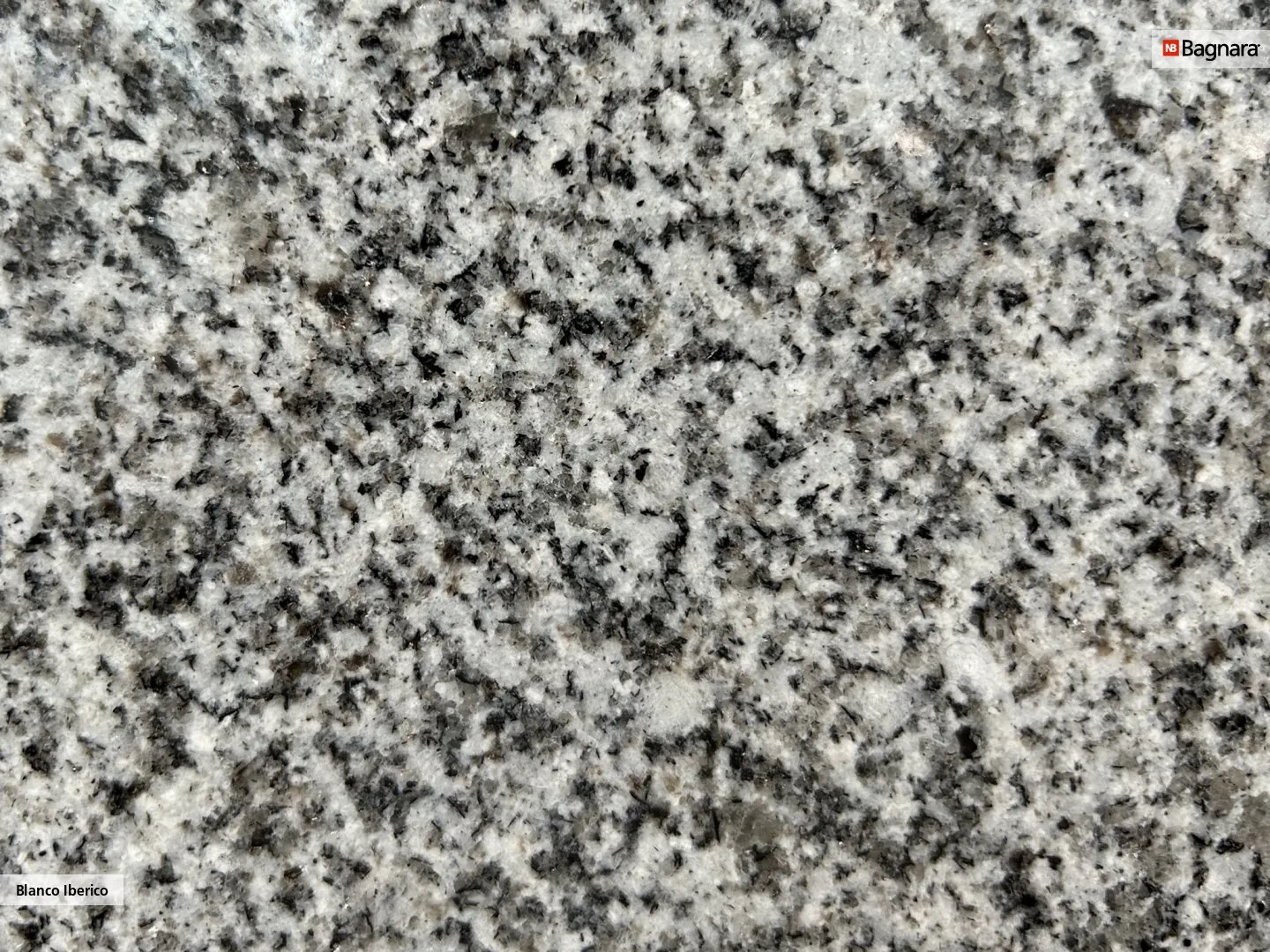 Bianco Iberico Granite