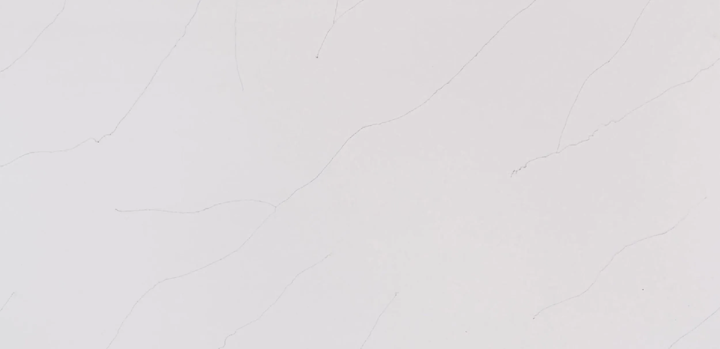 Bquartz Grigio Venato Quartz