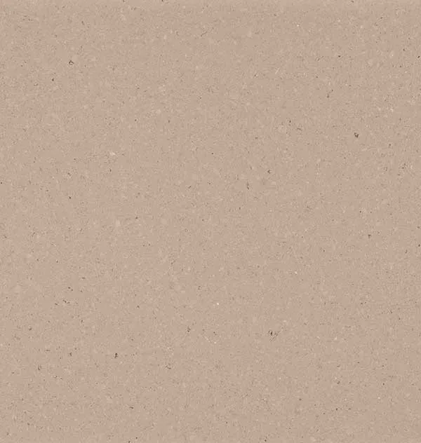 Caesarstone Shitake Quartz