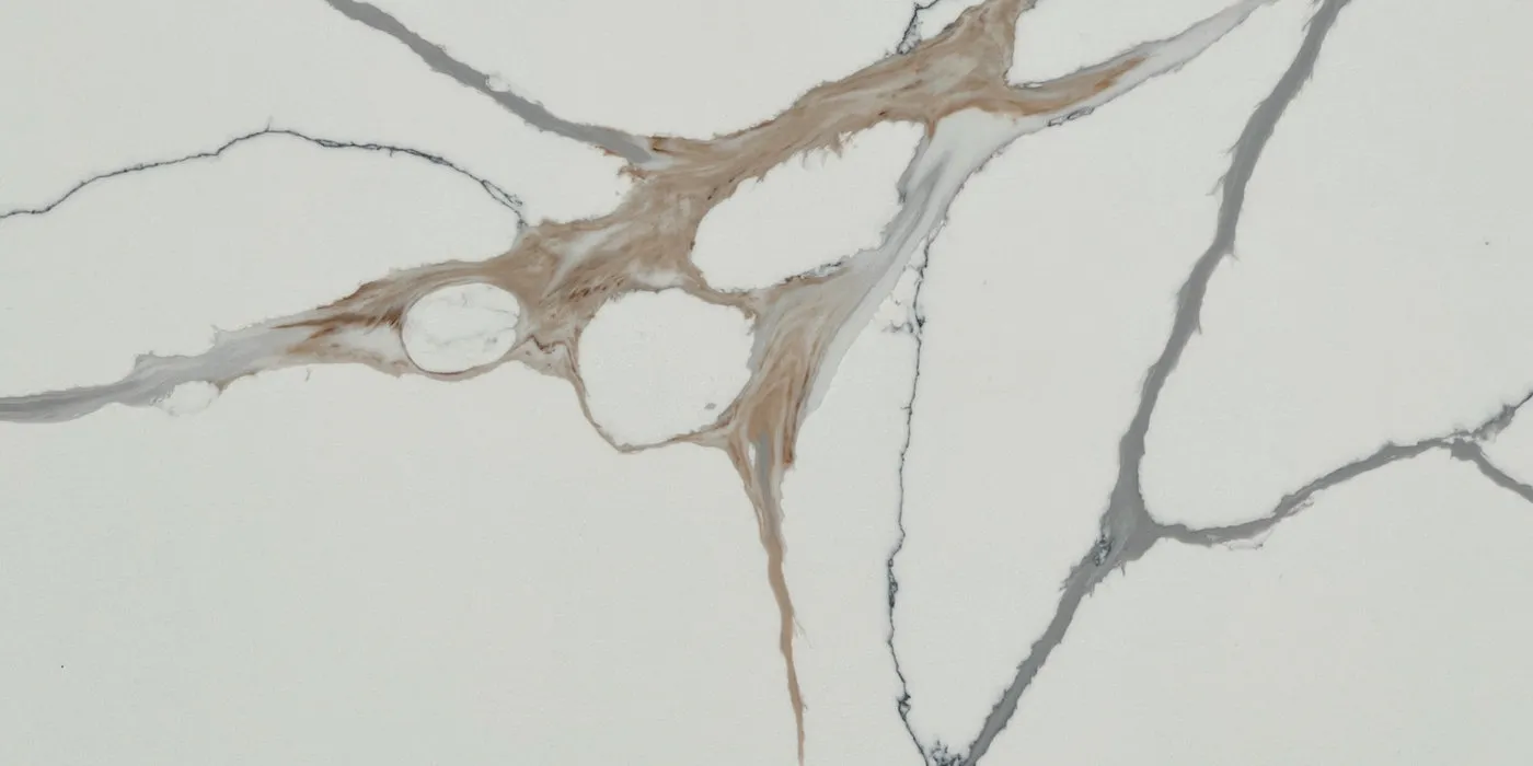 Bloomstone Calacatta Ragno Quartz