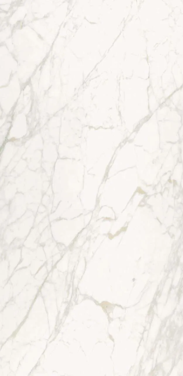 Ceralsio Carrara Vagli Porcelain