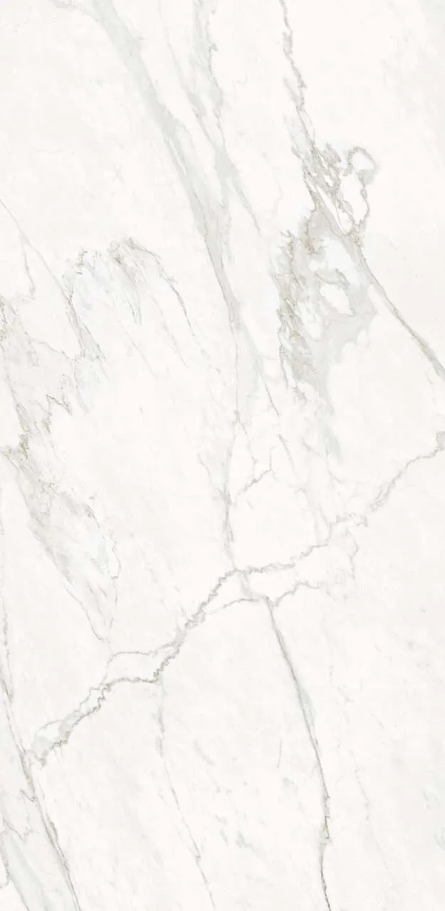 Ceralsio Grassi White Porcelain