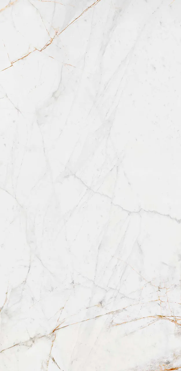 Ceralsio Lucca Oro Porcelain