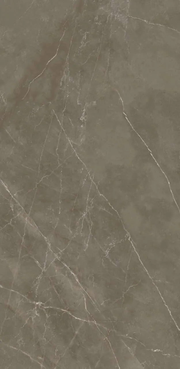 Ceralsio Pietra Grey Porcelain