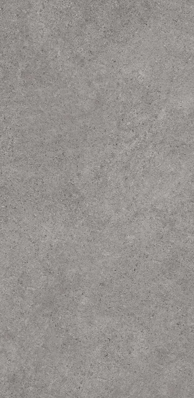 Ceralsio Platinum Porcelain