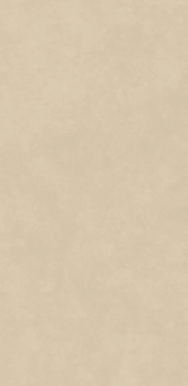 Ceralsio Stone Porcelain