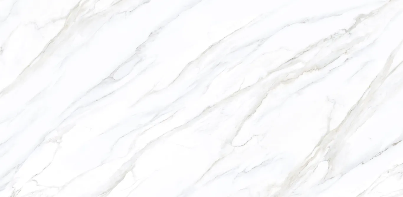 Coante Calacatta Arlena Quartz