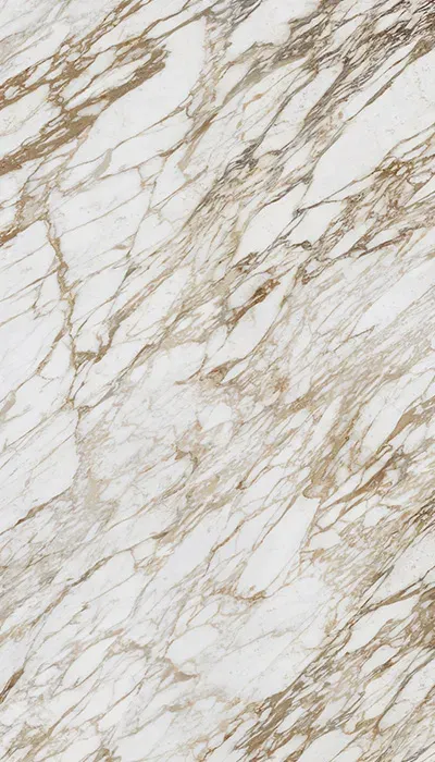Infinity Surfaces Arabescato Diva Porcelain