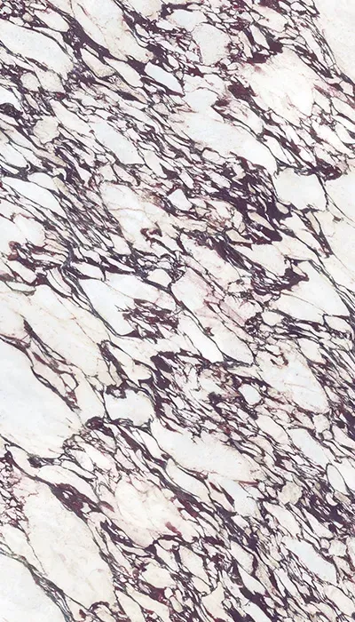Infinity Surfaces Calacatta Viola Porcelain