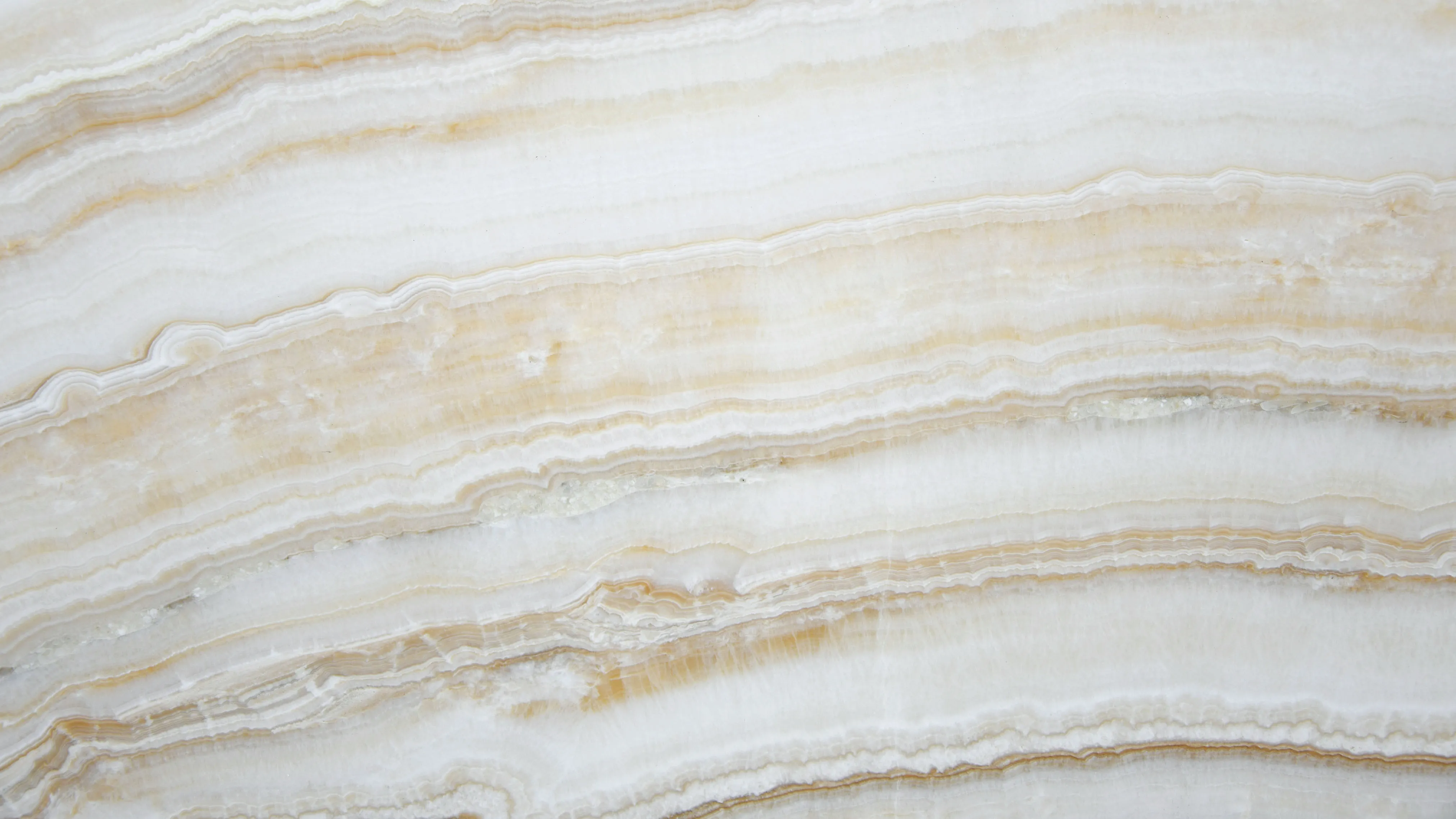 Ivory Onyx