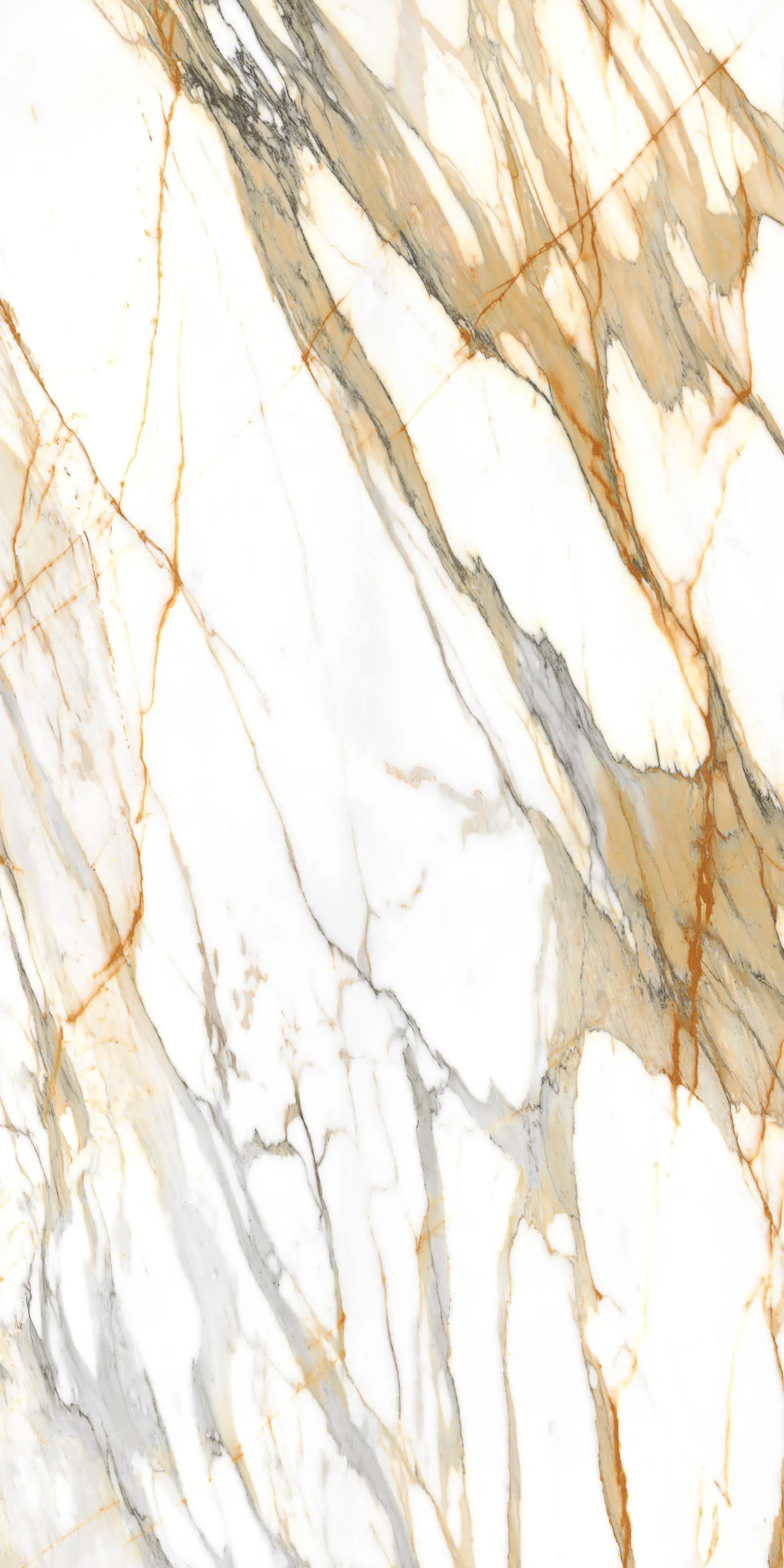Laminam Calacatta Mediceo BM Porcelain