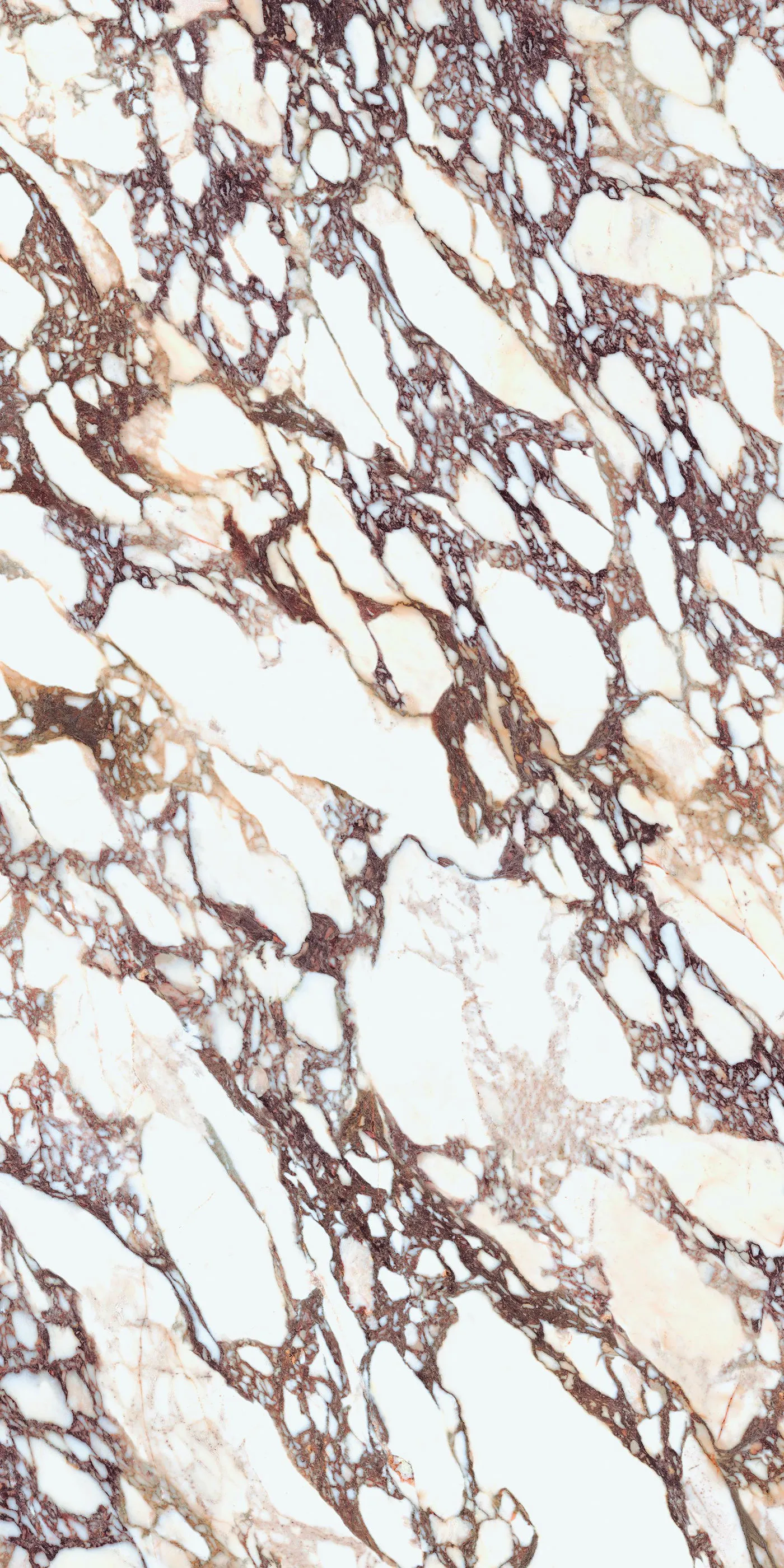 Laminam Calacatta Viola BM Porcelain