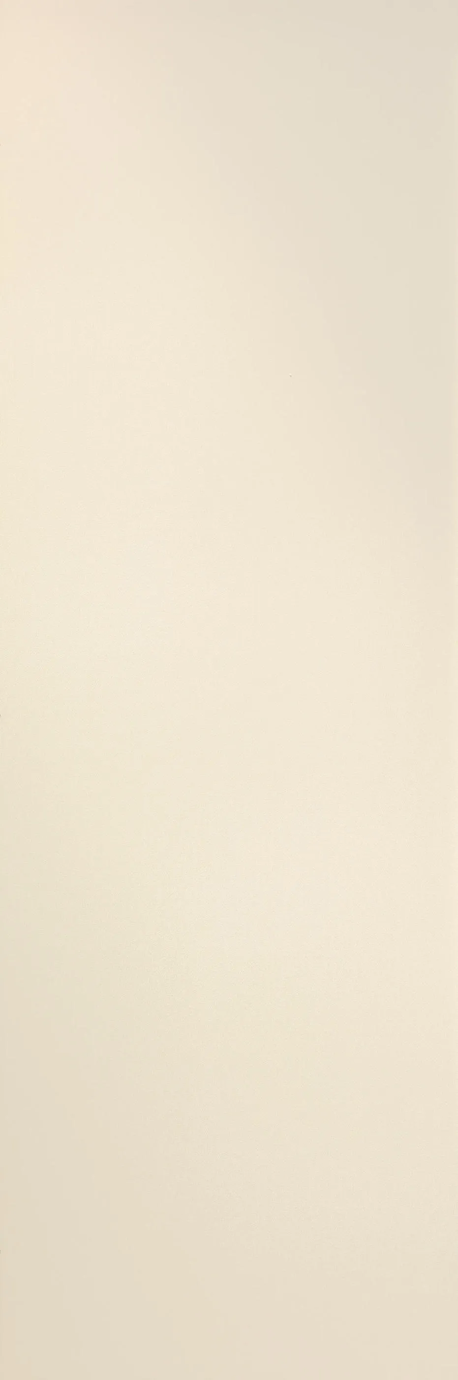 Laminam Filo Brina Porcelain