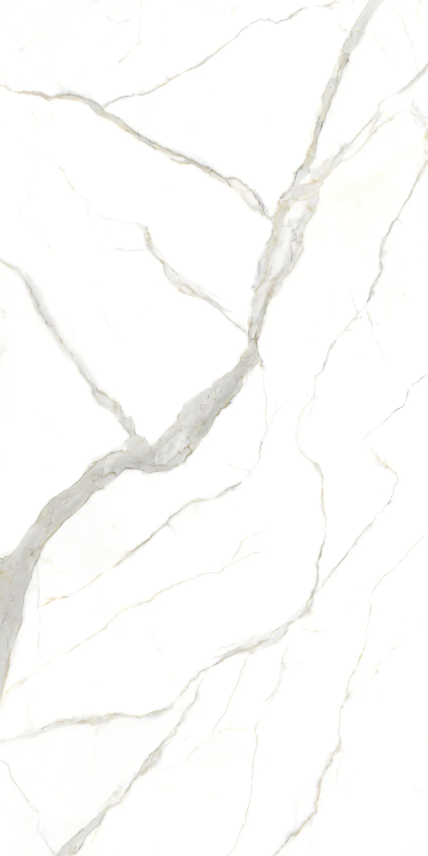 Laminam I Naturali Calacatta Michelangelo BM Porcelain
