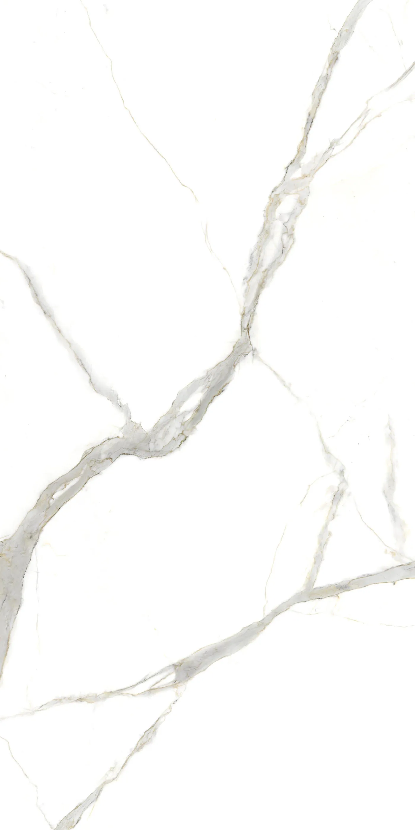 Laminam I Naturali Calacatta Michelangelo Porcelain