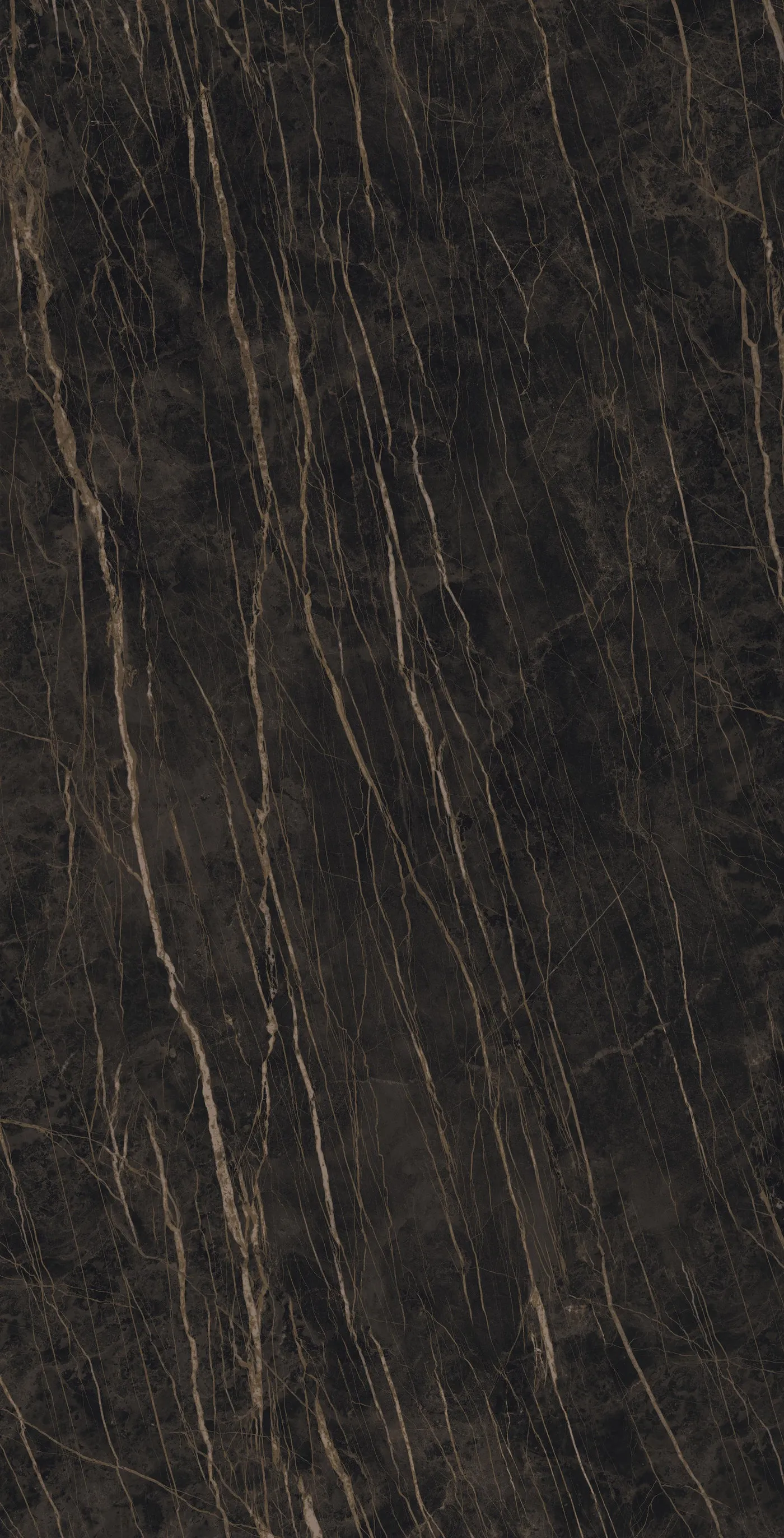 Laminam I Naturali Noir Desir Porcelain