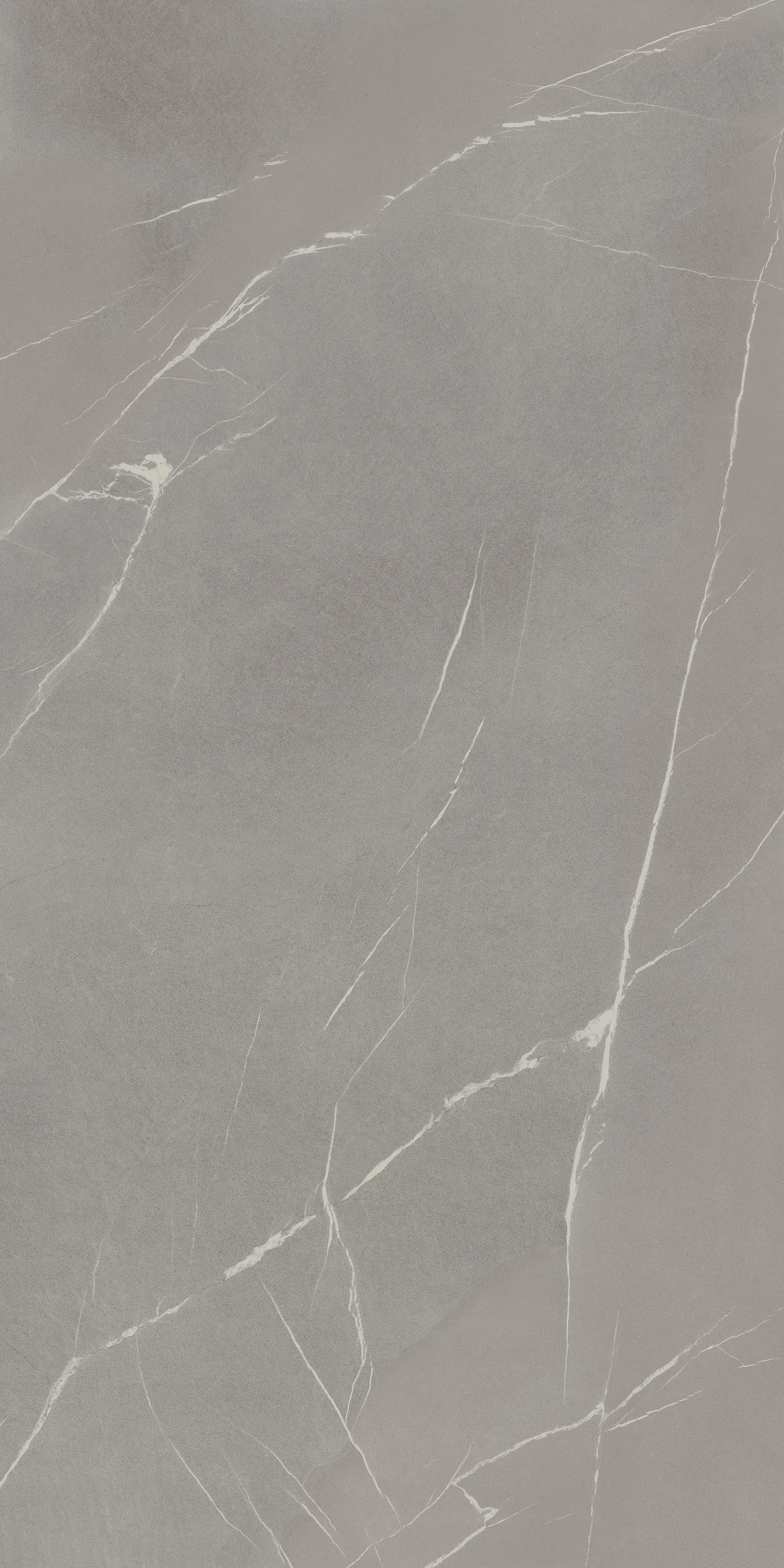 Laminam In Side Pietra Piasentina Grigio Porcelain