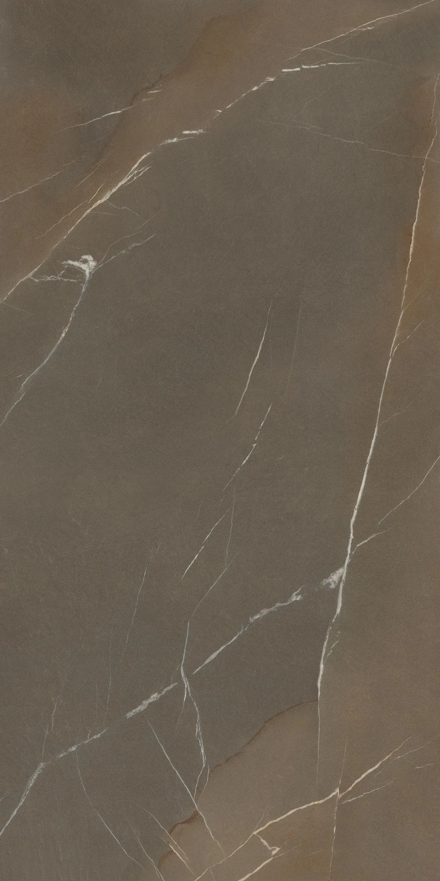 Laminam In Side Pietra Piasentina Taupe Porcelain