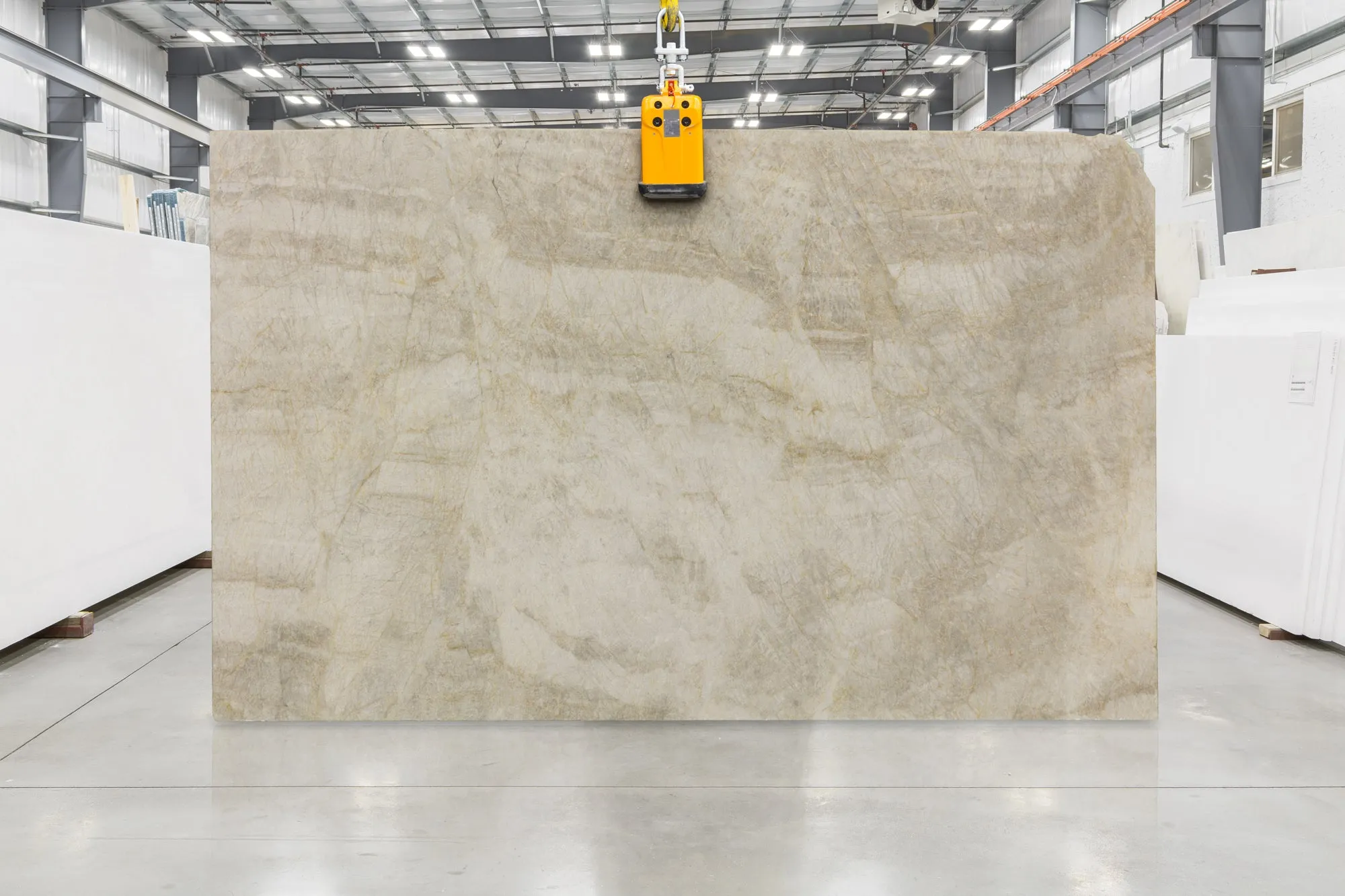 Naica Quartzite