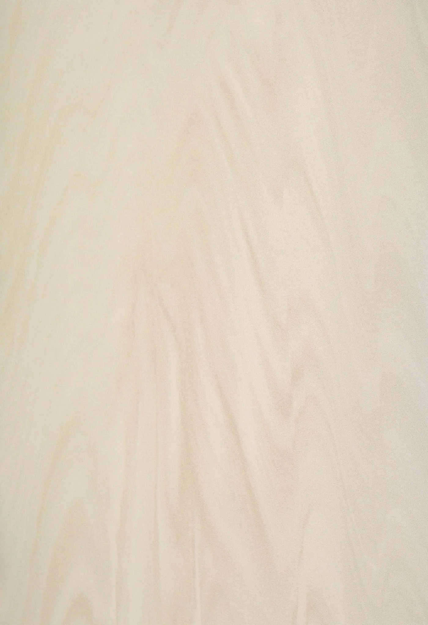 Neolith Arena Sintered Stone