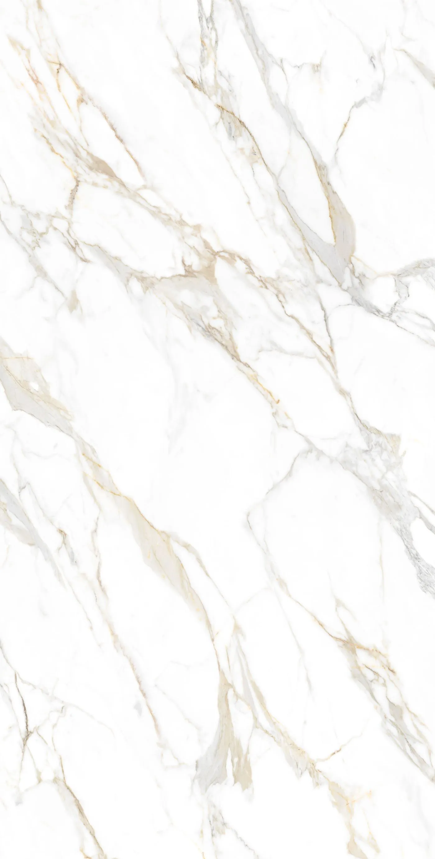 Neolith Calacatta Roma Sintered Stone