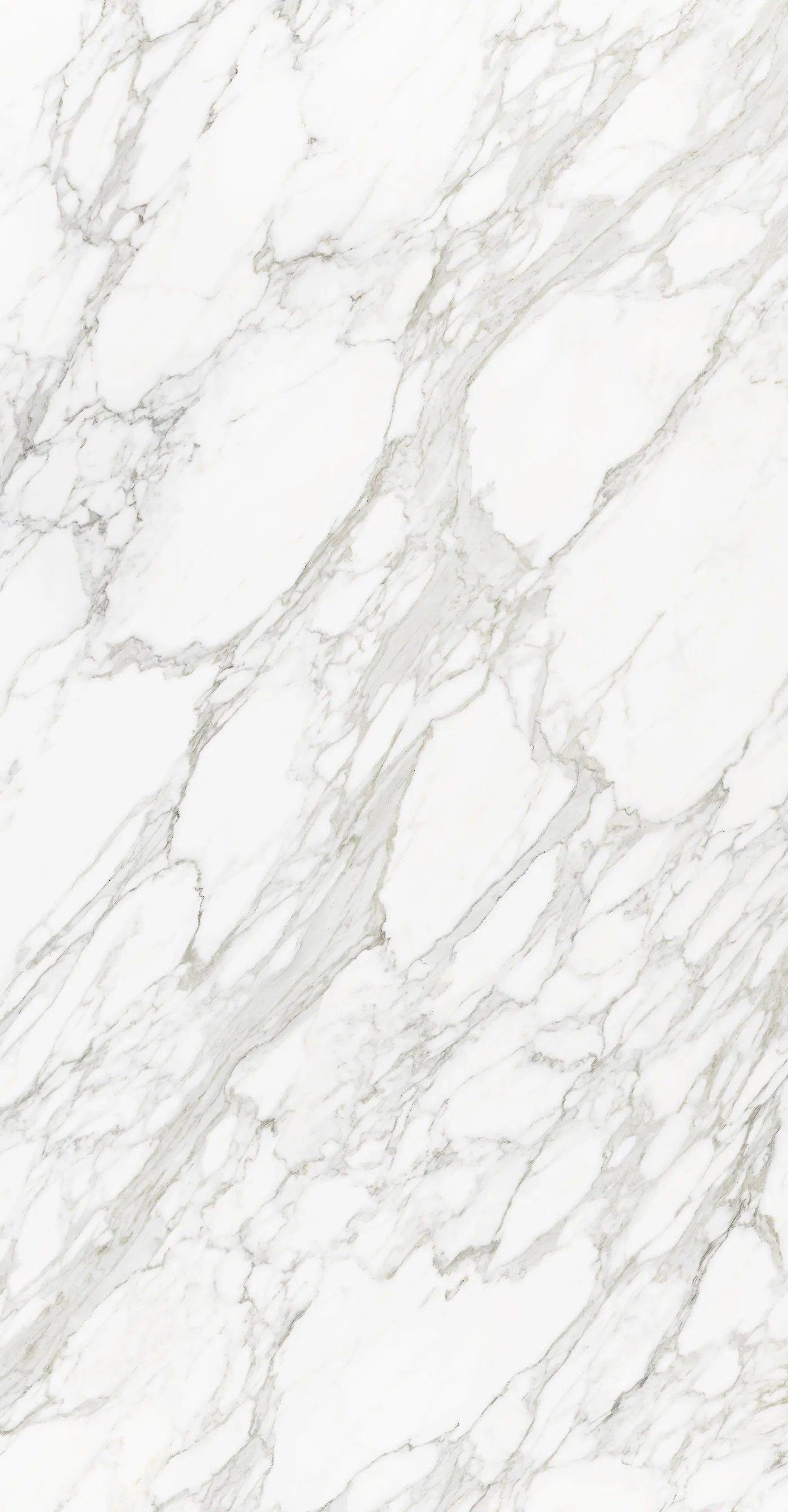 Neolith Calacatta Royale