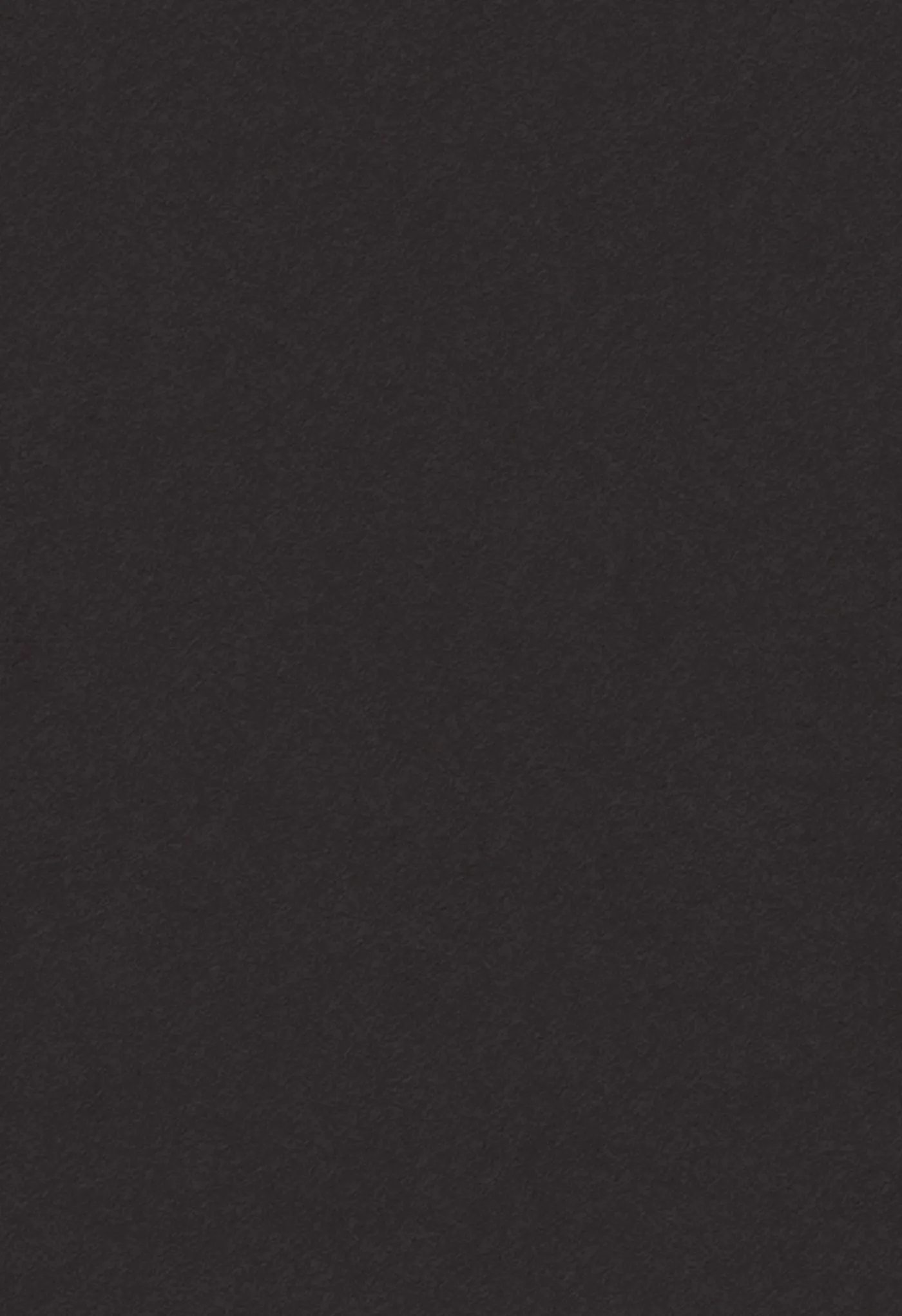 Neolith Nero Zimbabwe Sintered Stone