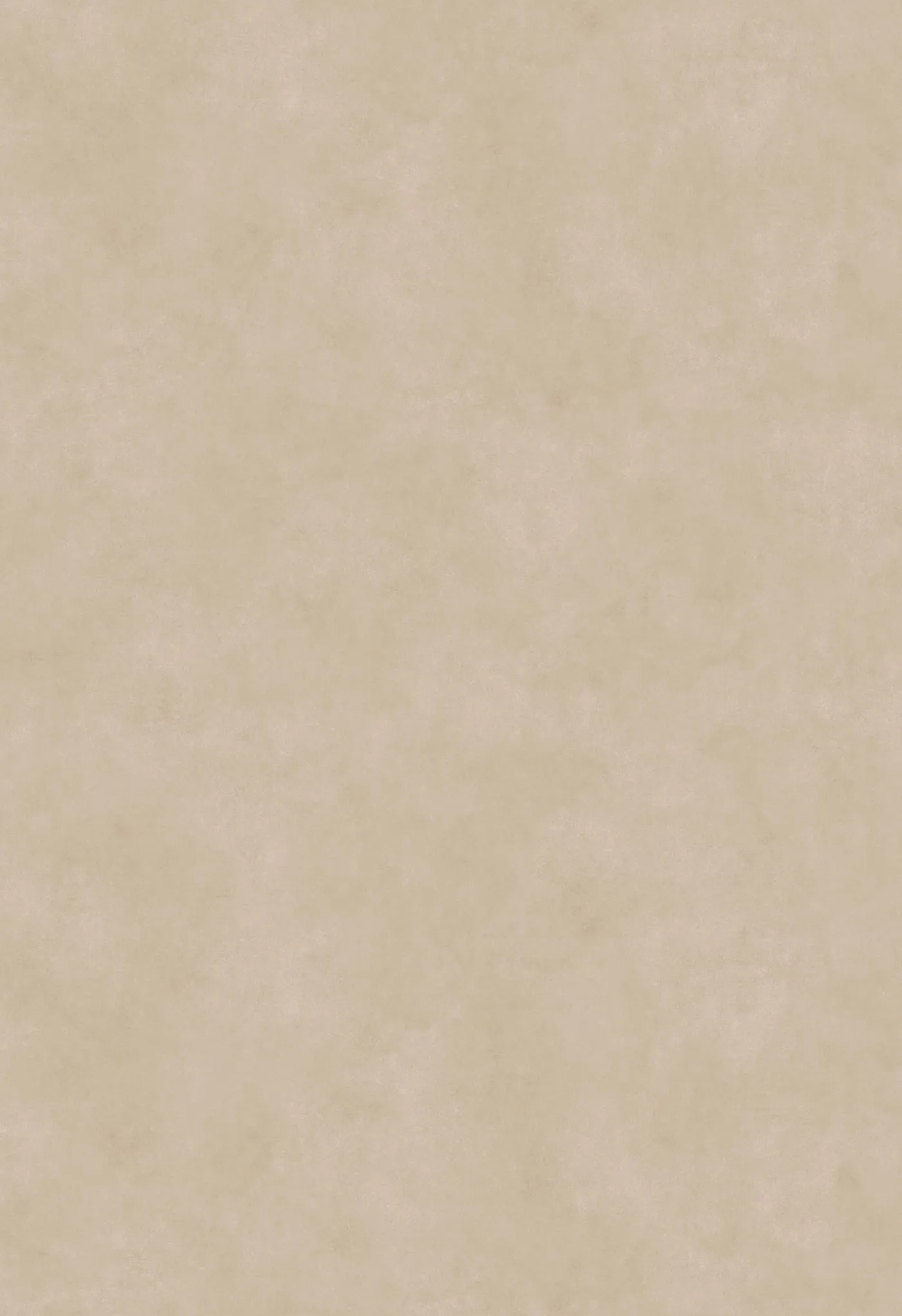 Neolith Pietra di Osso Sintered Stone