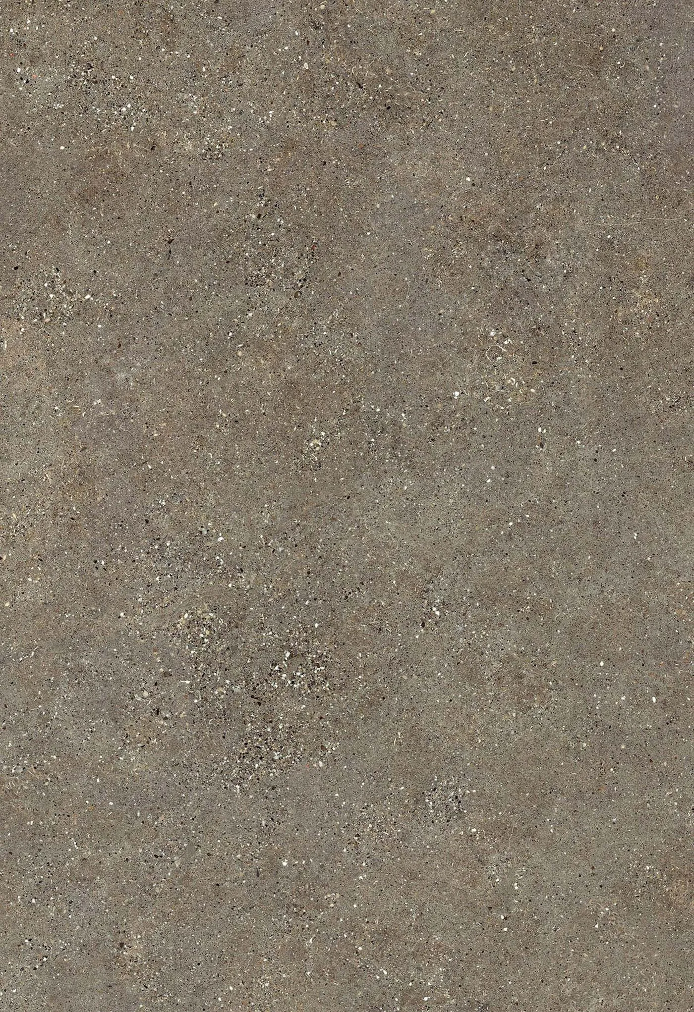 Neolith Wulong Sintered Stone