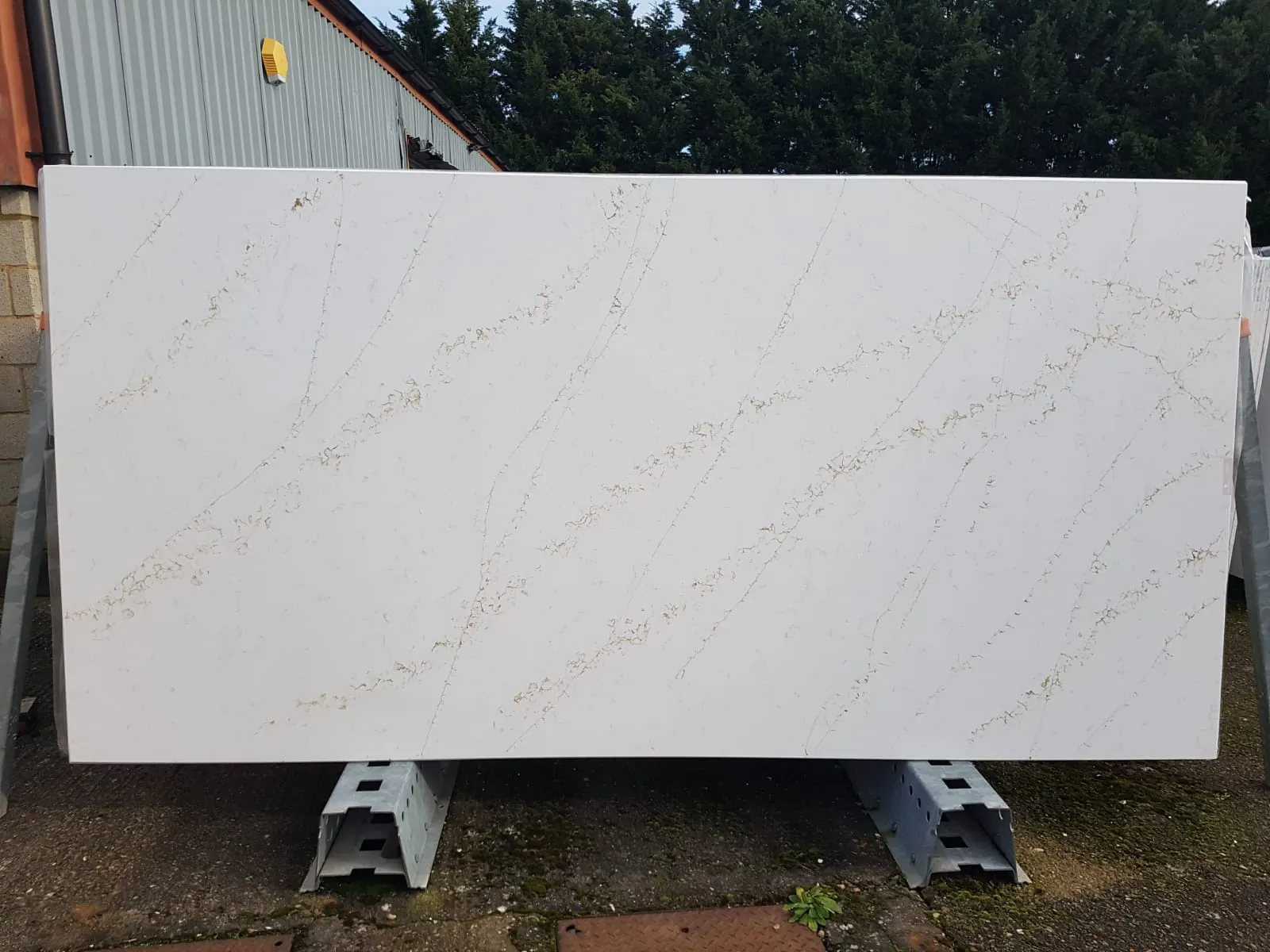 Radianz Hercules Quartz