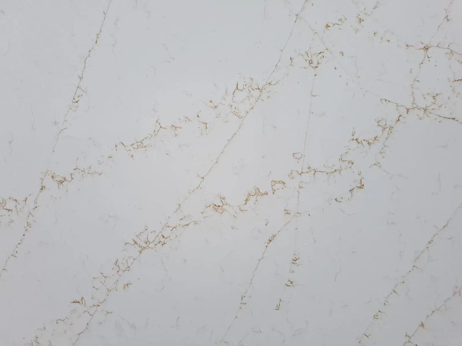 Radianz Hercules Quartz