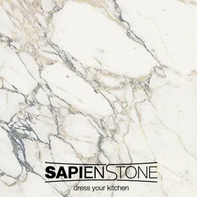 Sapien Stone Arabescato Porcelain