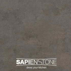 Sapien Stone Brown Earth Porcelain