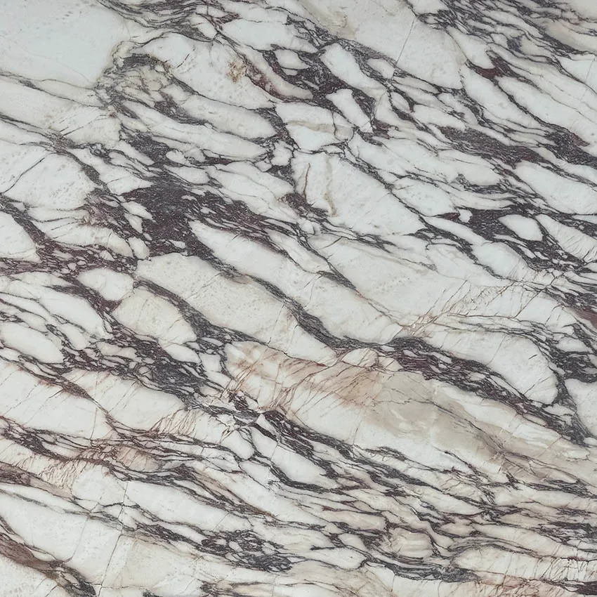 Sapien Stone Fior Di Viola 4D Porcelain