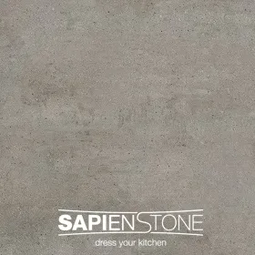 Sapien Stone Grey Earth Porcelain
