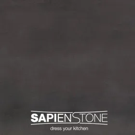 Sapien Stone Malm Black Porcelain