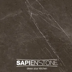 Sapien Stone Pietra Grey Porcelain