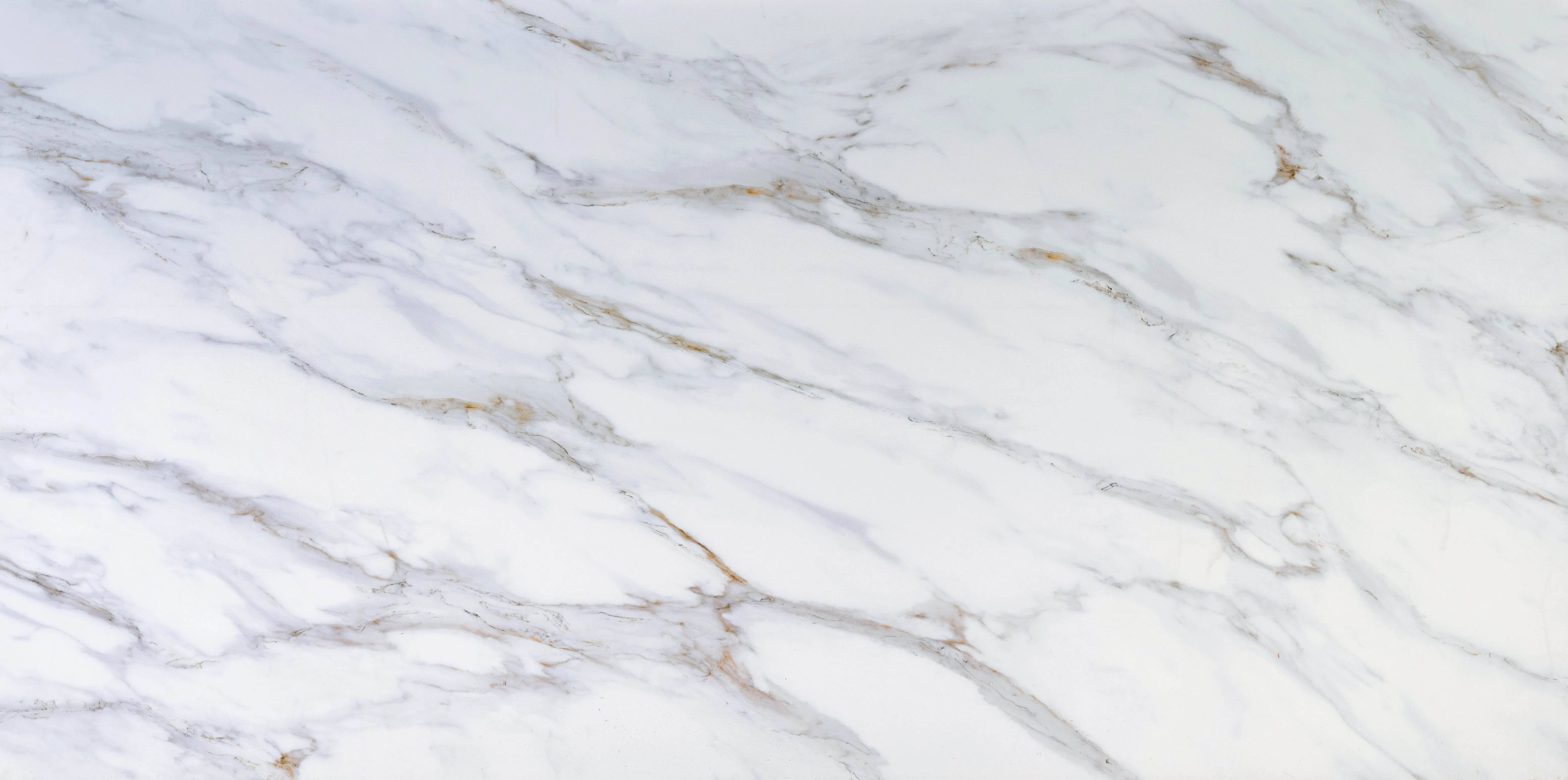Sempre Calacatta Verona Quartz