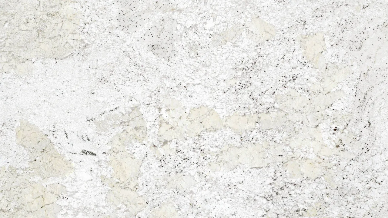 Fantastic White Granite