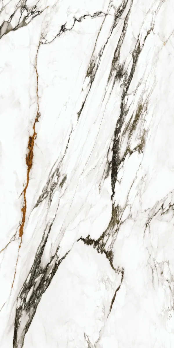 XTone Paonazzo Biondo Porcelain