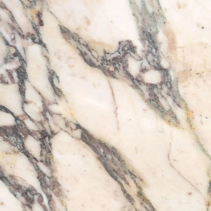 Calacatta Viola Monet Extra Honed Marble