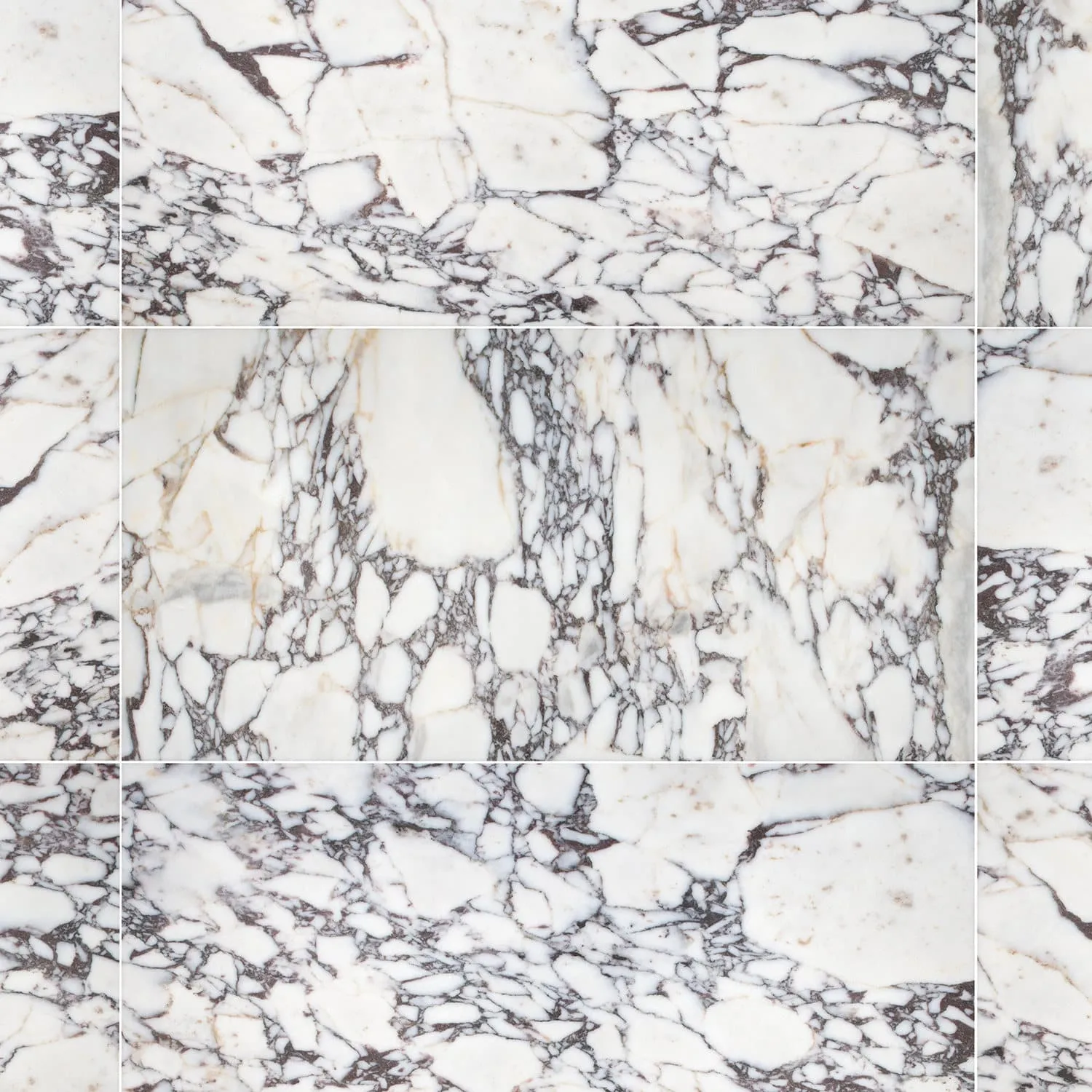 Calacatta Viola Monet Honed Marble