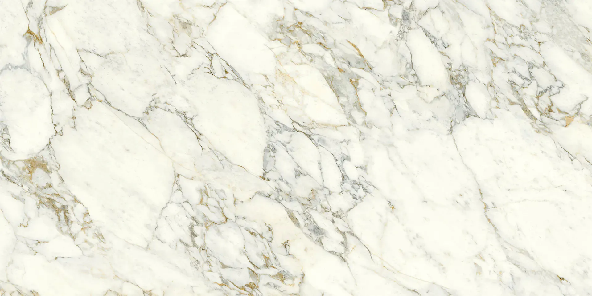 Arabescato Vagli Marble