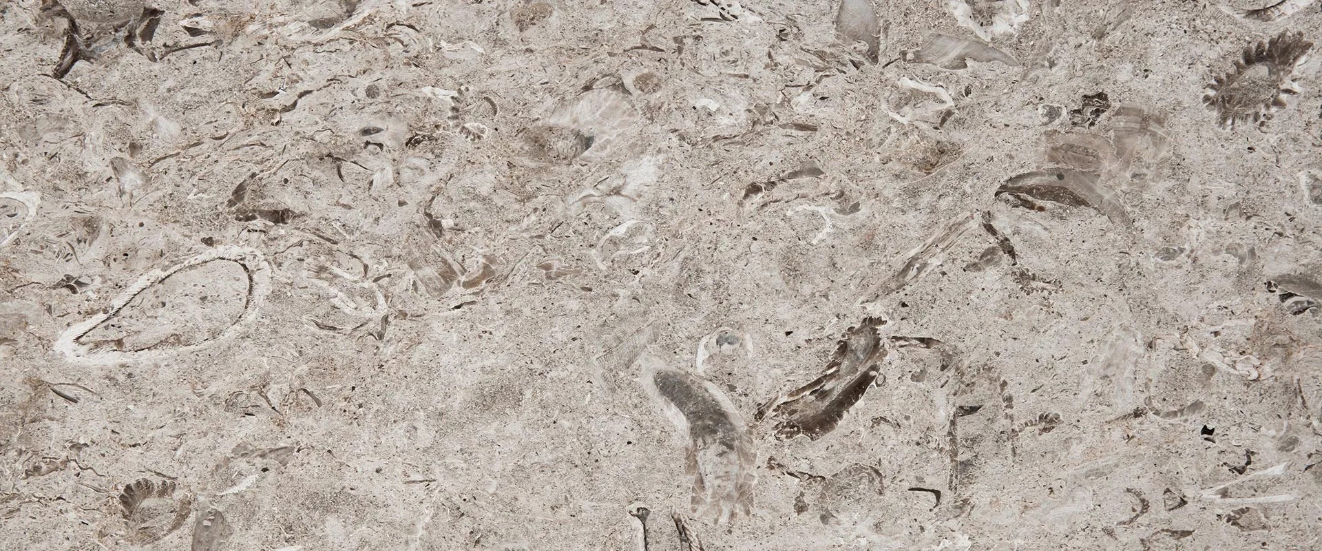 Aurisina Fiorito Marble