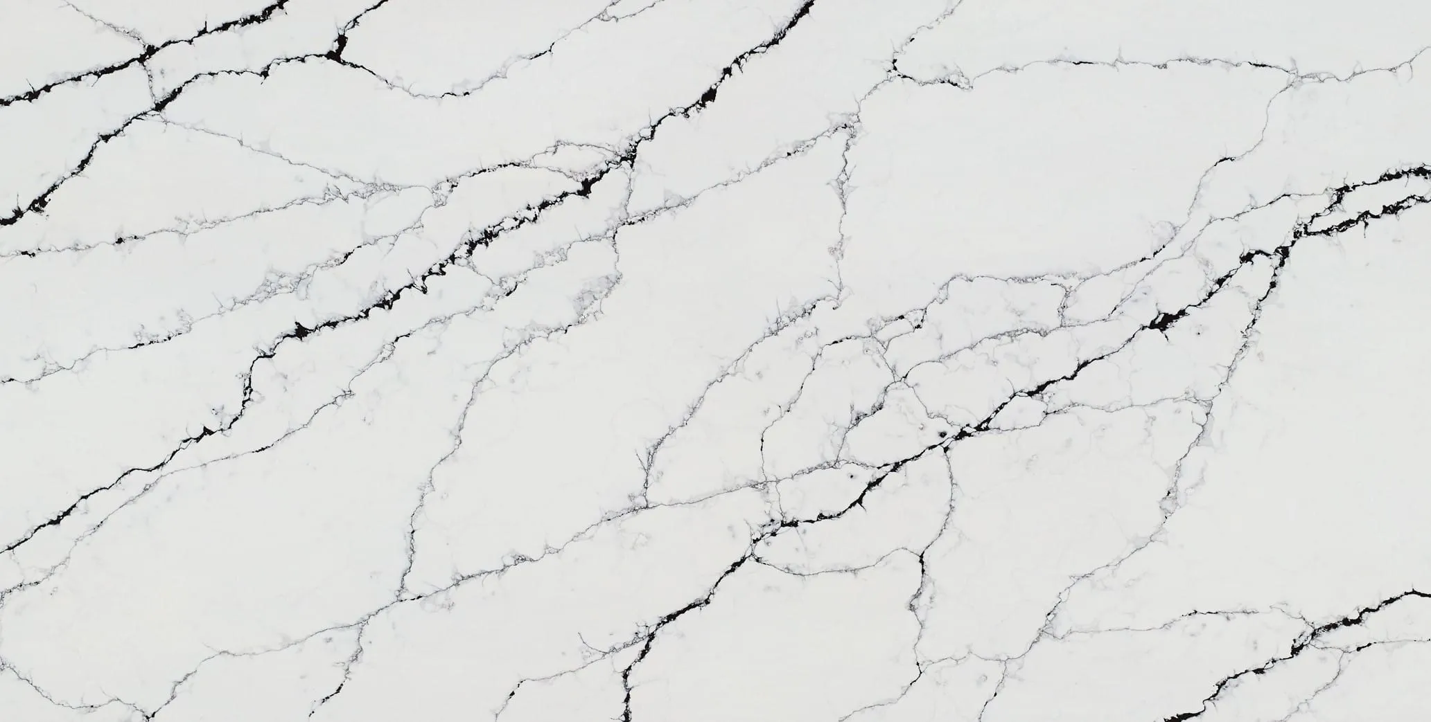 Classic Quartz Calacatta Noir Quartz